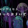 京都水族館　クラゲランプ　冬のあったか水族館　関西お出かけ情報